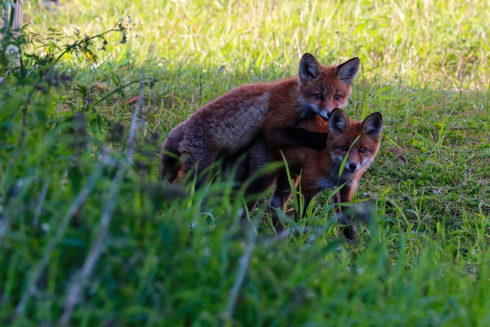 Photograph by Александр Селезнев