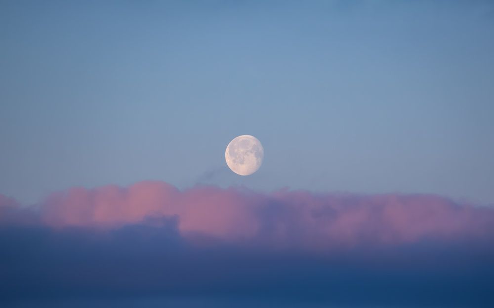 Photograph by Хабаров Сергей