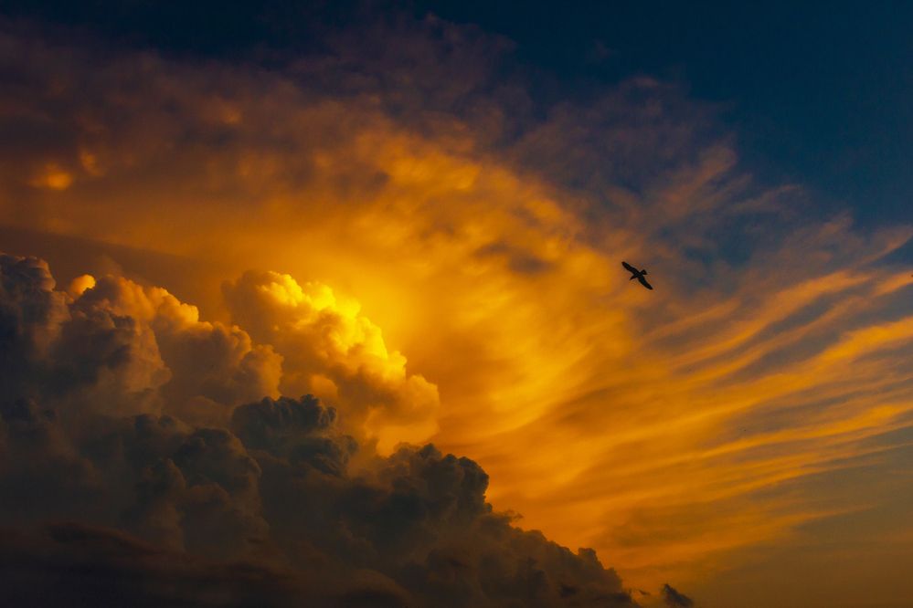 Photograph by Елена Барышева