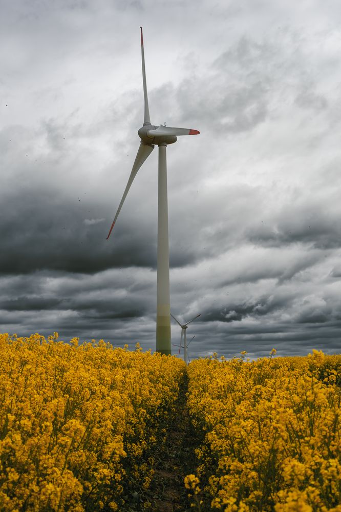 Photograph by Света Вирбицкас