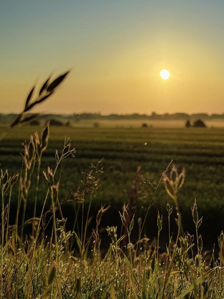 Photograph by Пыльцева Юлия
