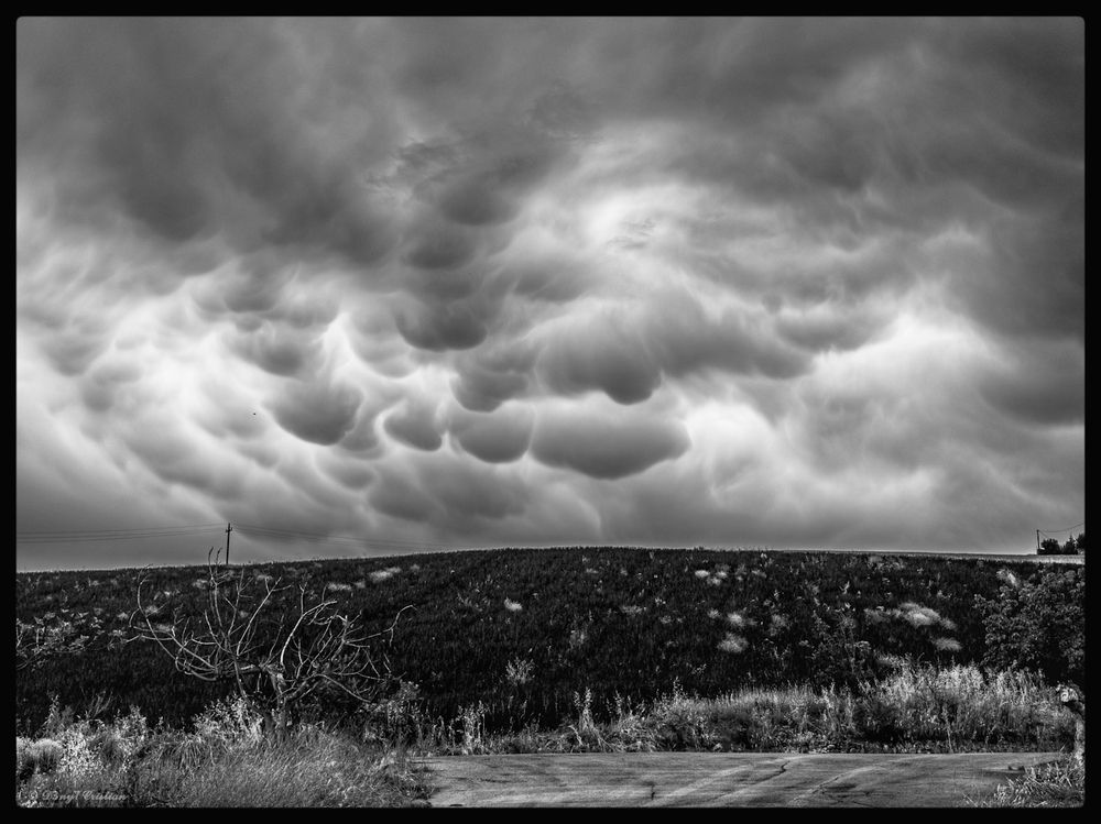Photograph by Denis Cristian