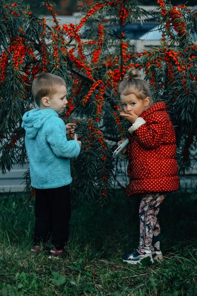 Photograph by Анна Зенкина