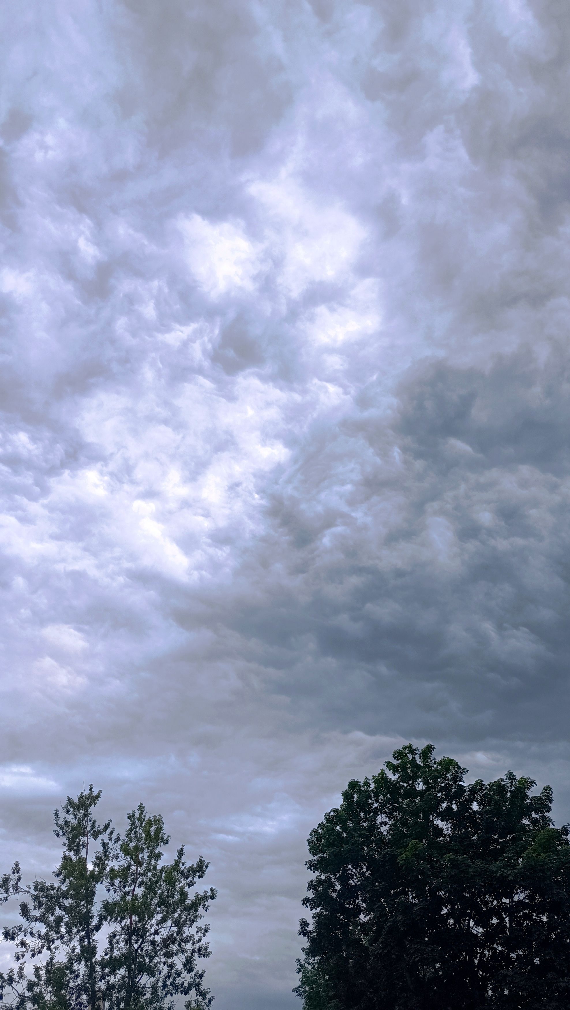 Photograph by Мария Мазикина