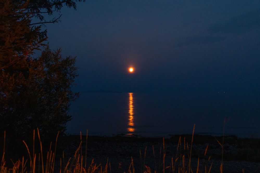 Photograph by Коптелов Виктор