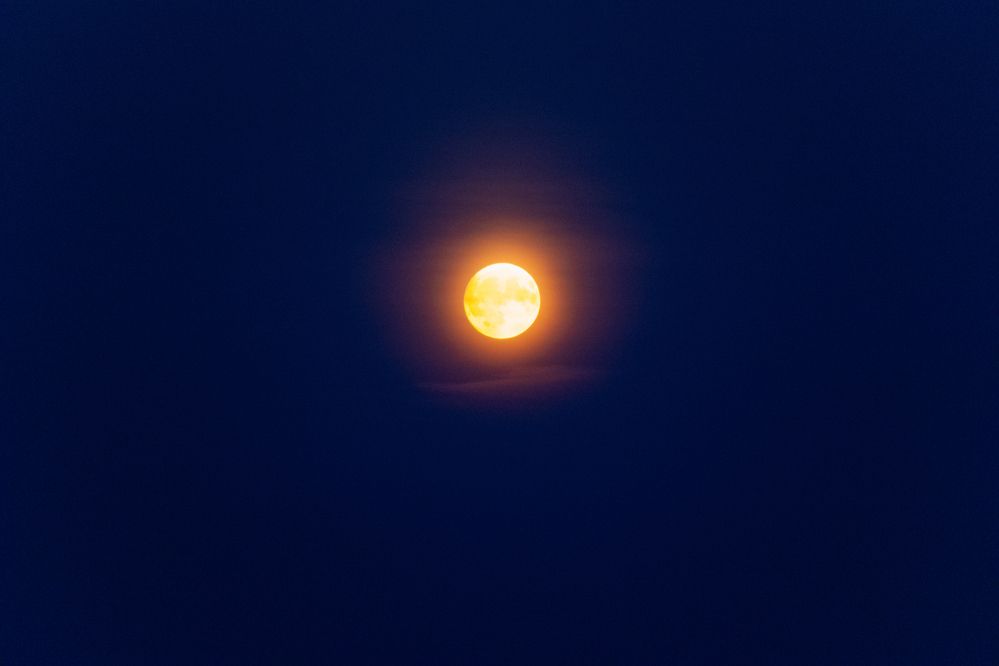 Photograph by Коптелов Виктор