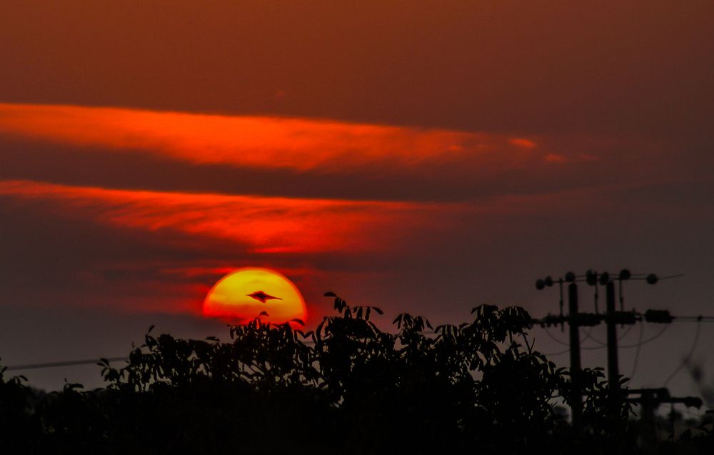 Photograph by Francisco Ferreira