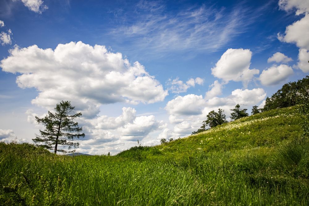 Photograph by Анна Зенкина