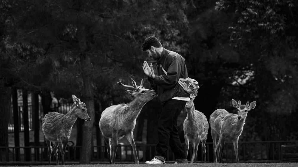 Photograph by SHAKE MD SAMIR