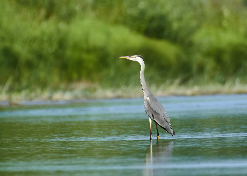 Photograph by Шабалин Игорь