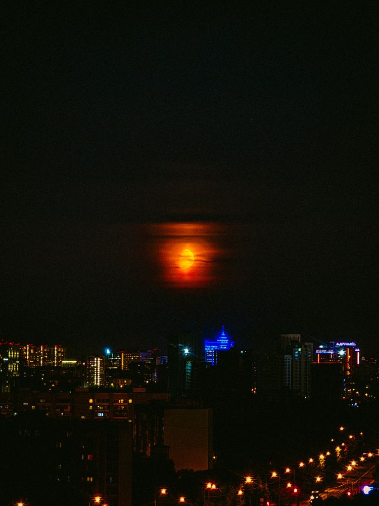 Photograph by Алёна Горошко