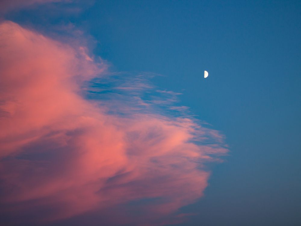 Фотография автора Дарья Рогозина