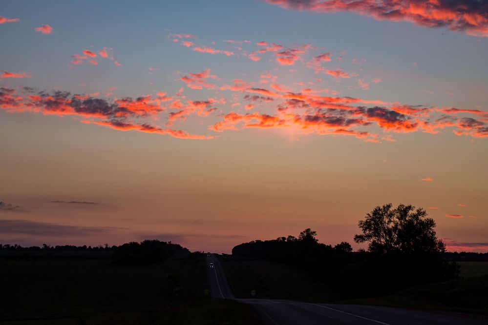 Фотография автора Дарья Рогозина
