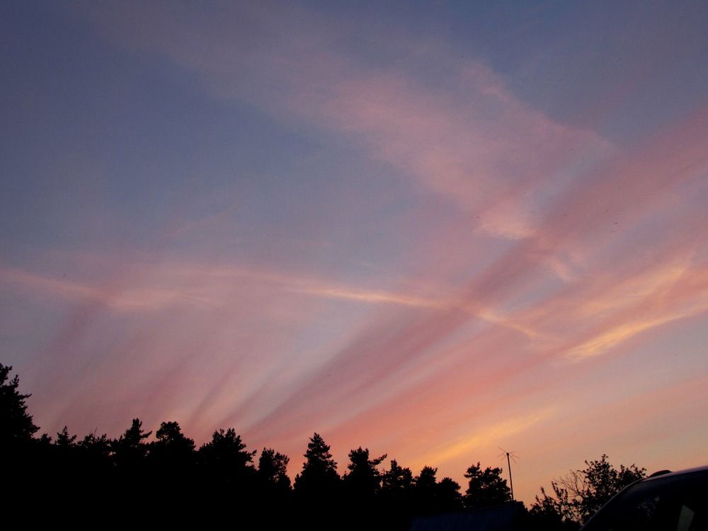 Photograph by Елизавета Большакова