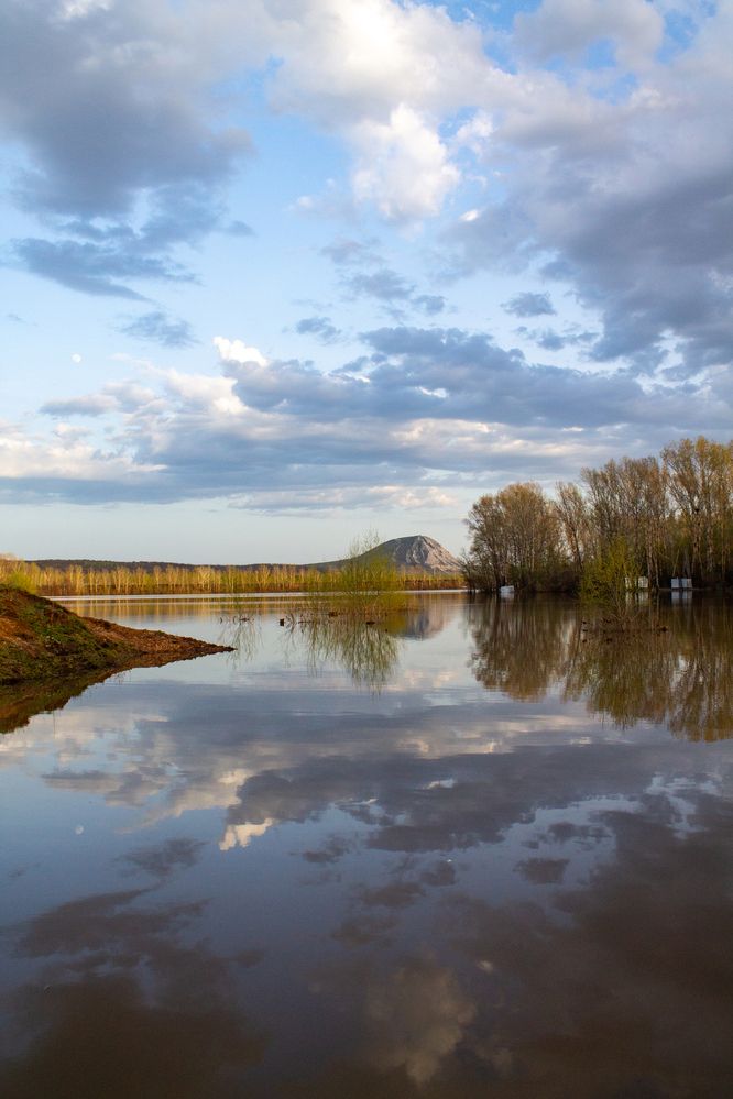 Фотография автора Дарья Рогозина