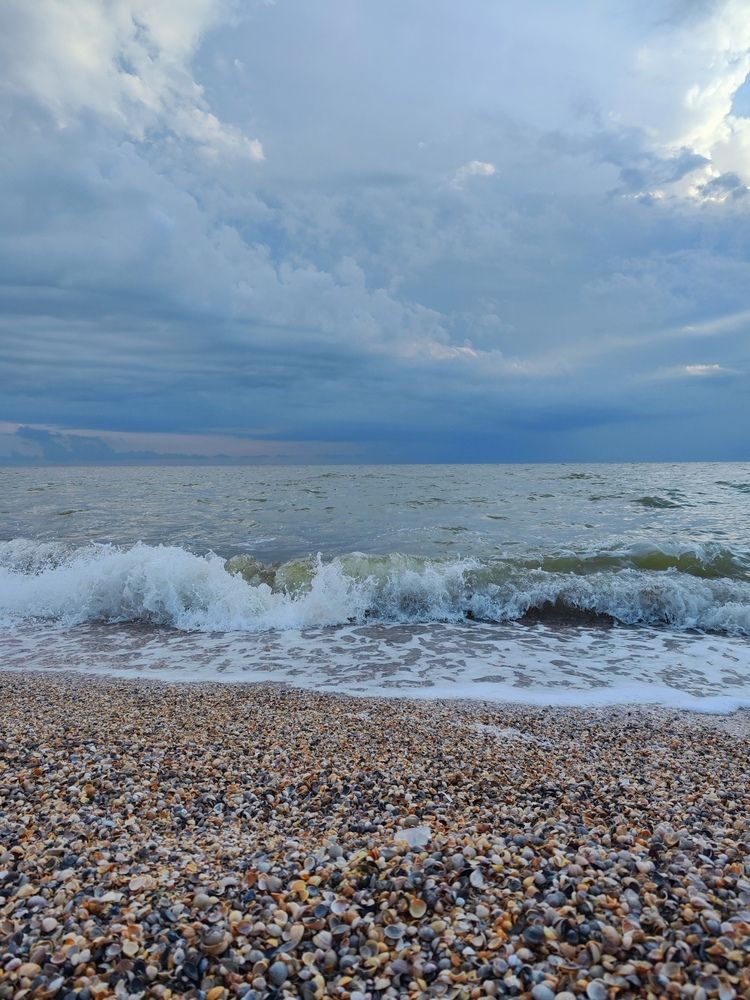 Фотография автора Алёна Подгорная