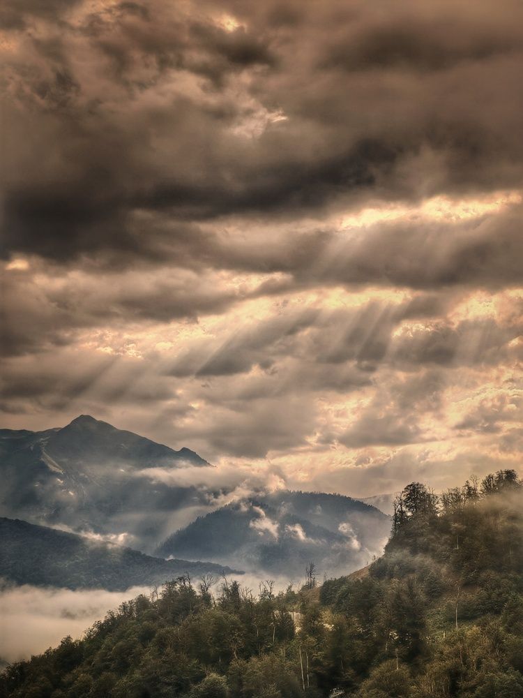 Photograph by Anastasia Malyukova