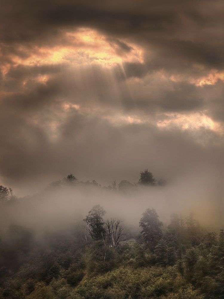 Photograph by Anastasia Malyukova