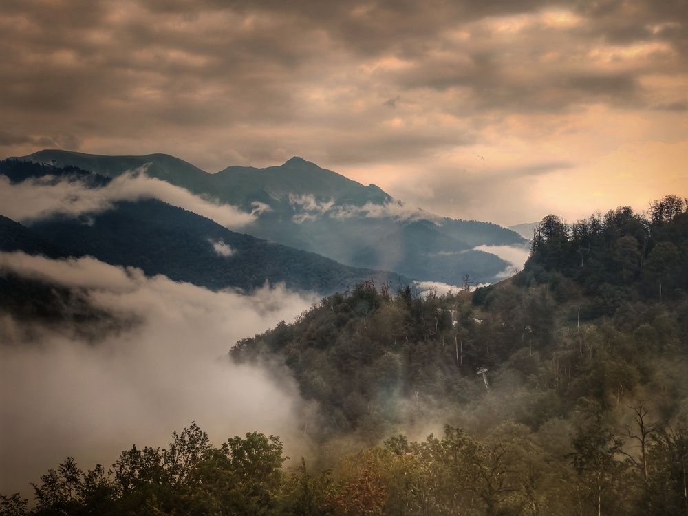 Photograph by Anastasia Malyukova