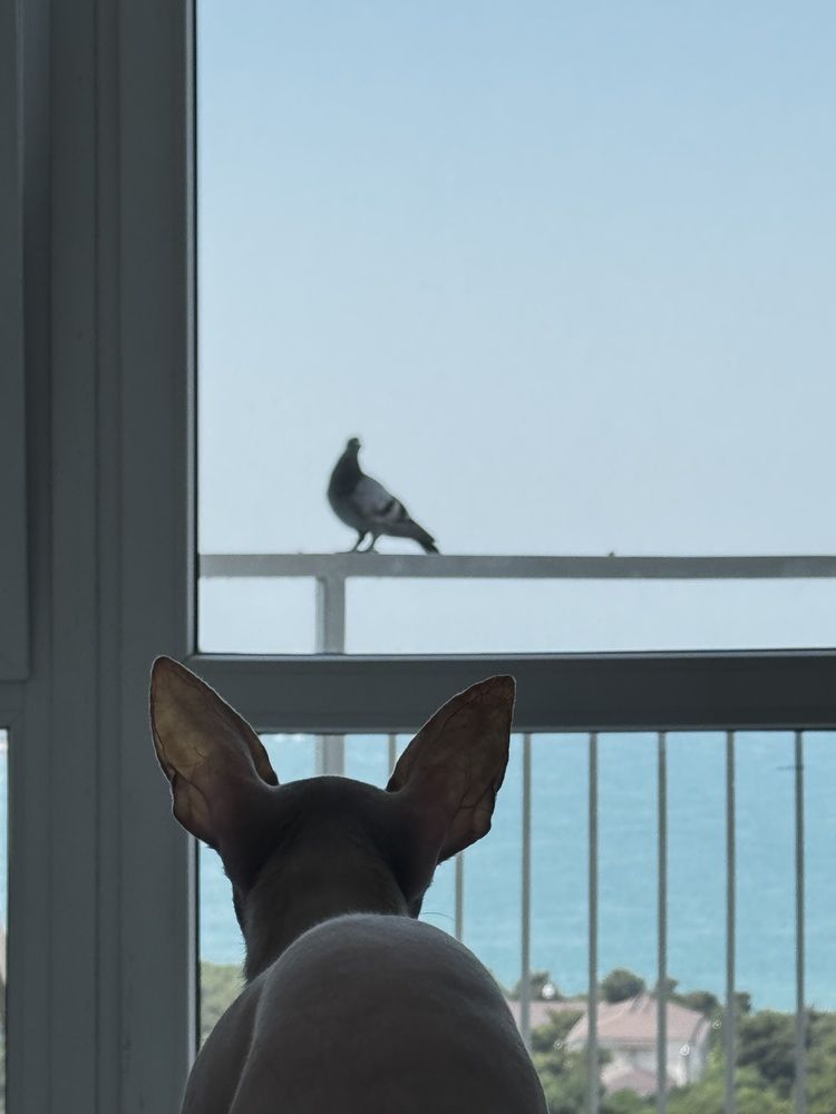 Photograph by Ксения