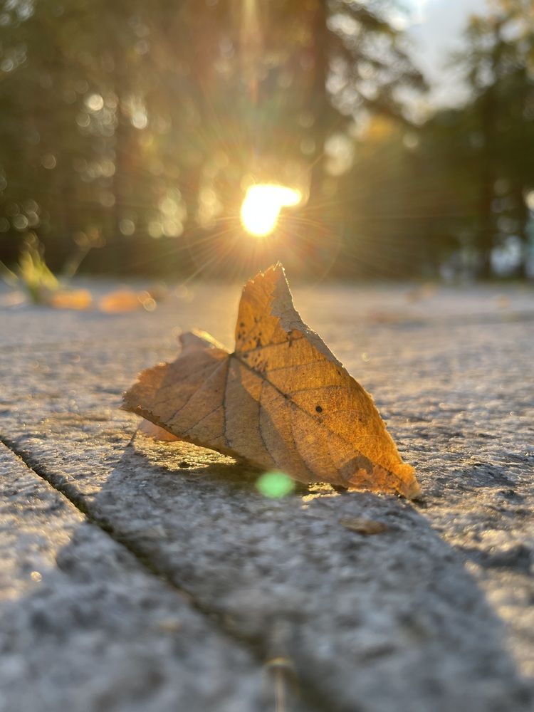 Photograph by Ксения