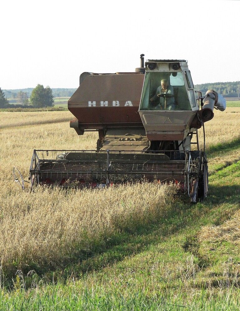 Photograph by Николай