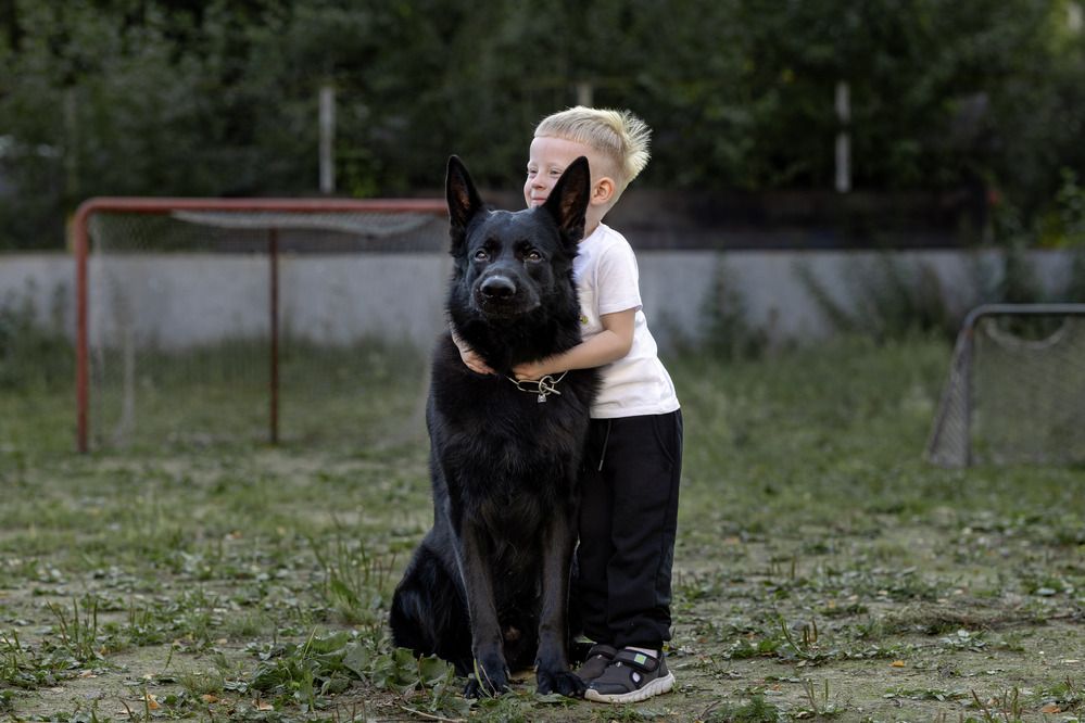 Черный пес и ребенок