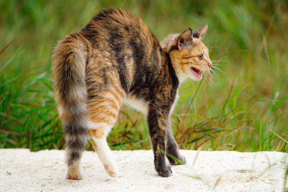 Photograph by Людмила Бандурина