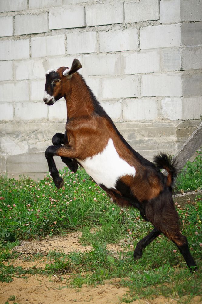 Photograph by Людмила Бандурина