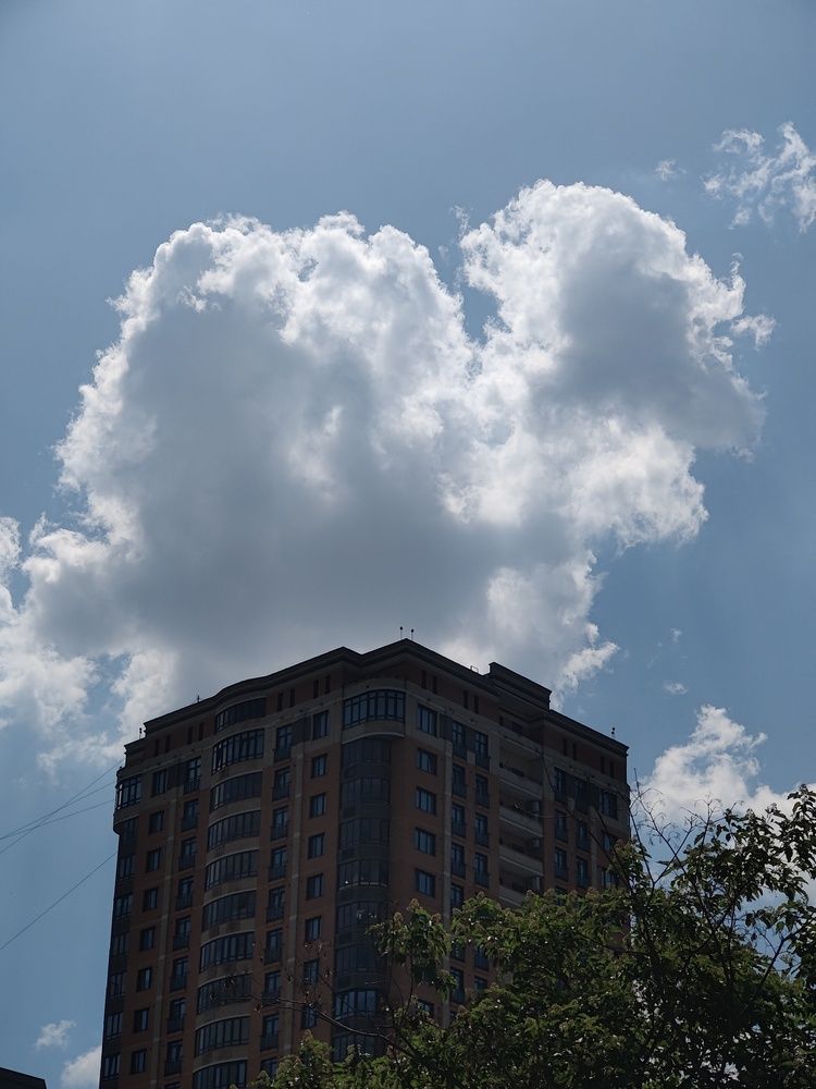 Photograph by Olena Chertous