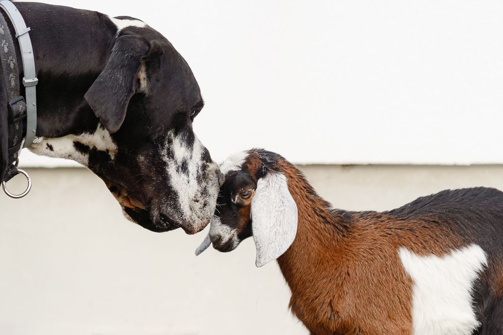 Photograph by Людмила Бандурина