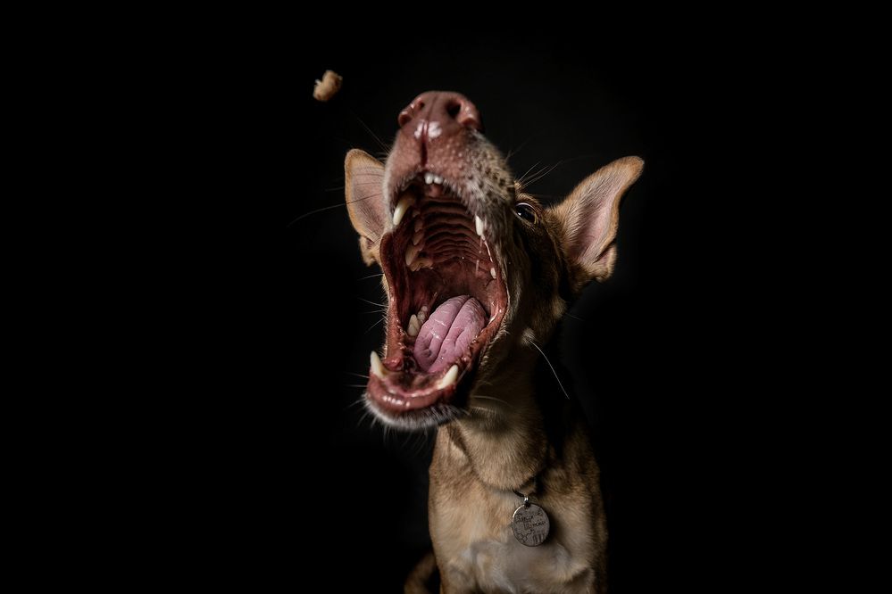 Photograph by Olga Nebelskaya