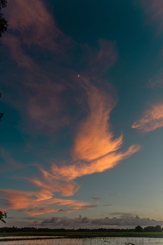 Golden clouds, silver moon — nature’s perfect balance.