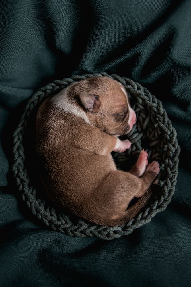 Photograph by Olga Nebelskaya