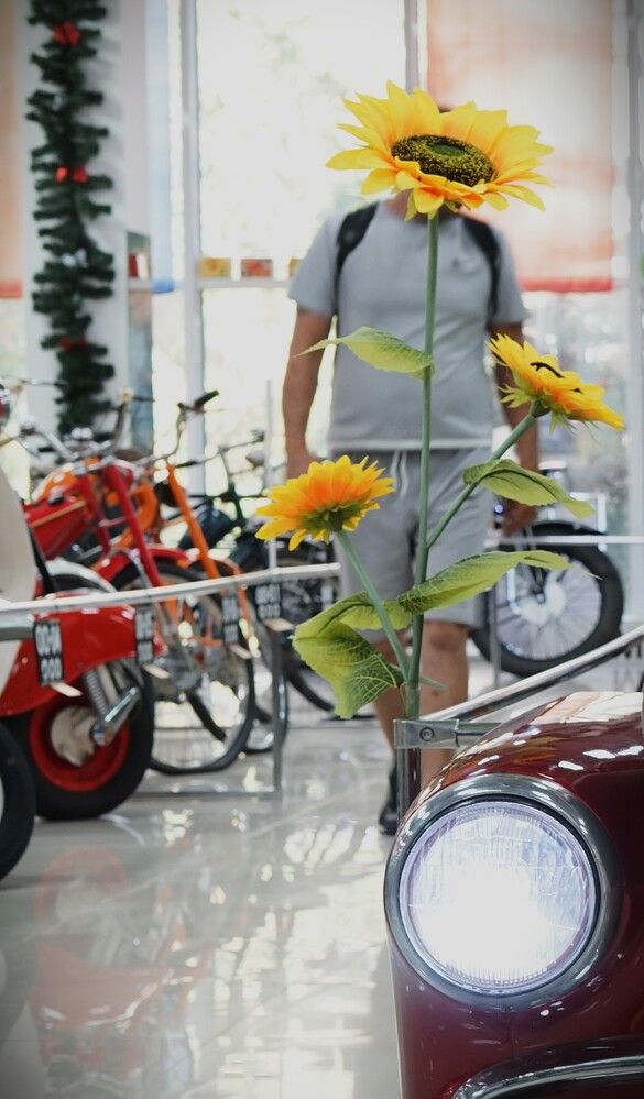 Photograph by Артём Пархоменко