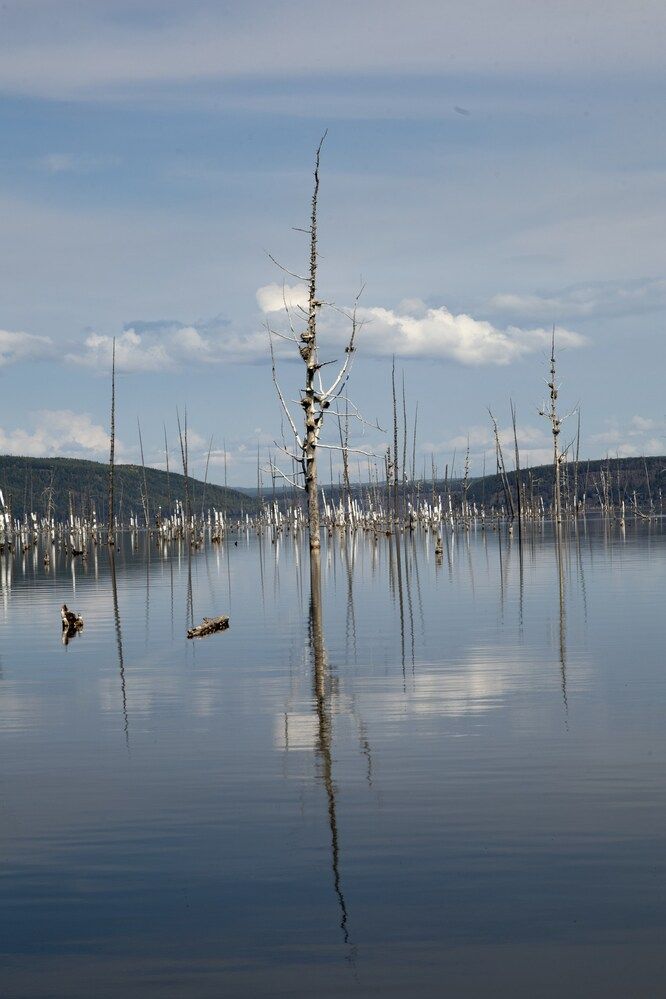 Photograph by Елена Шишкина