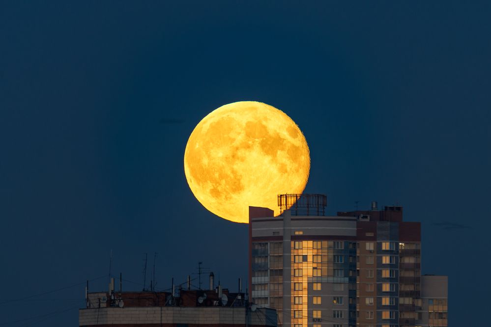 Photograph by Юрий Ломакин