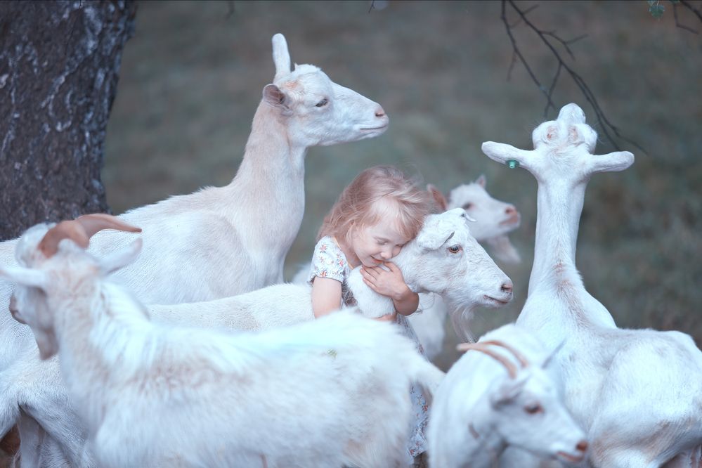 Photograph by Оля Васильева