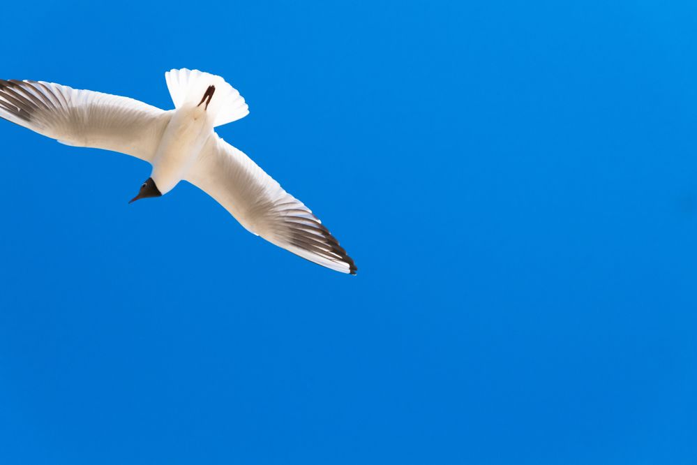 Photograph by Алиса