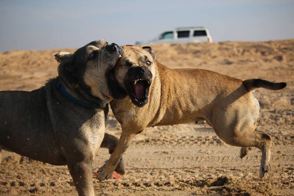 Photograph by Яна Карамышева