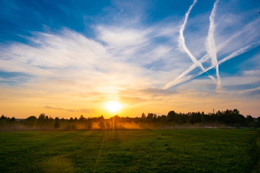 Photograph by Алиса