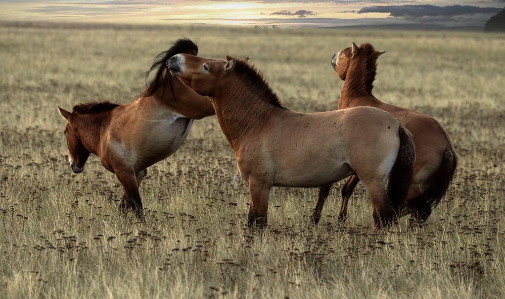 Photograph by Одаренко Ольга