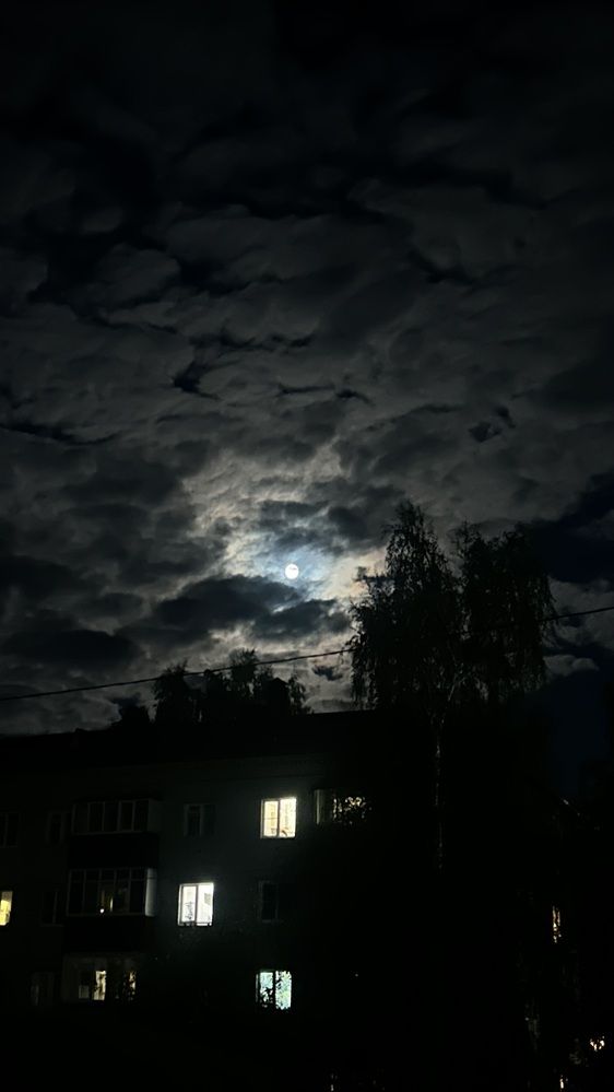 Photograph by Александра Чижова