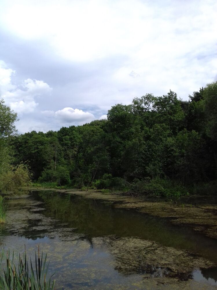 Photograph by Галина Петрушенко