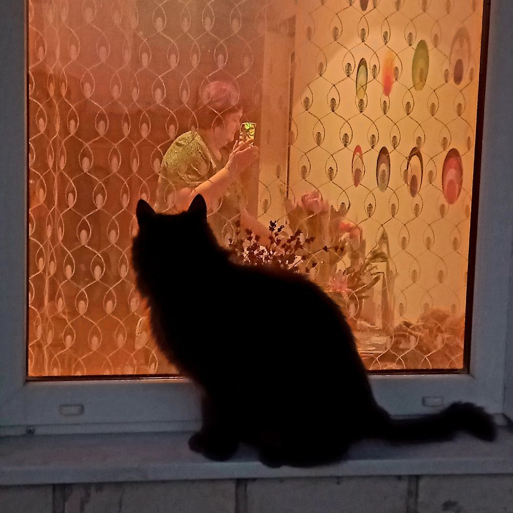 Photograph by Алексейчик Дмитрий