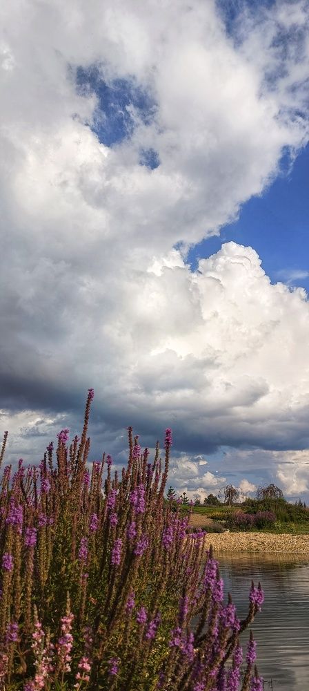 Photograph by Оксана Радзиевская