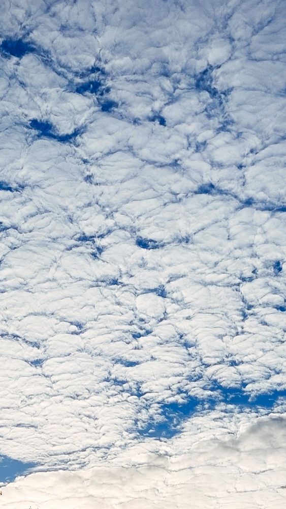 Photograph by Ирина Шидловская