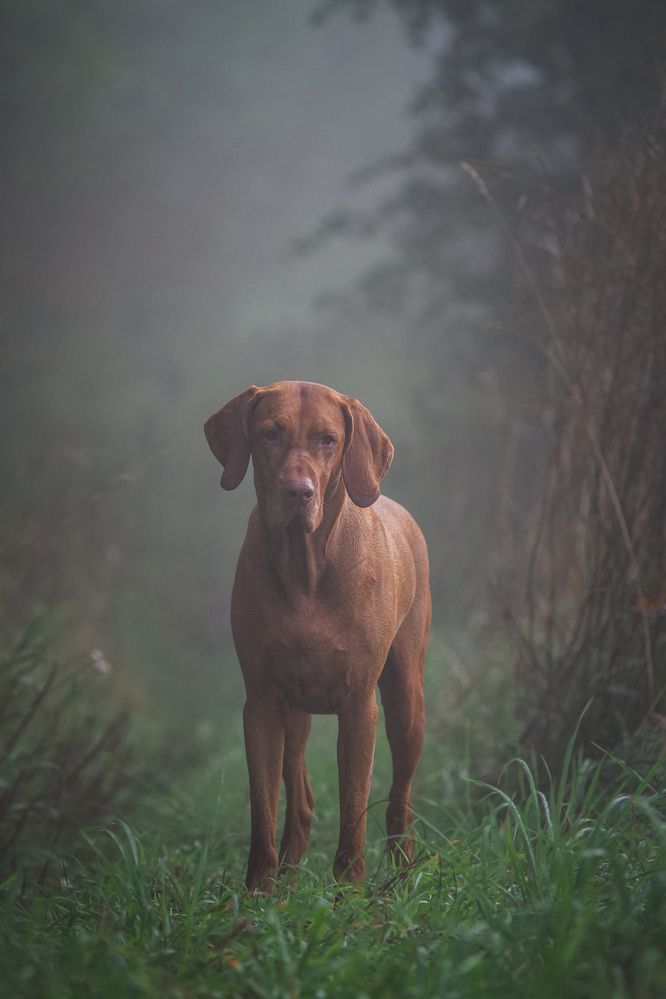 Photograph by Эльнара Исаева