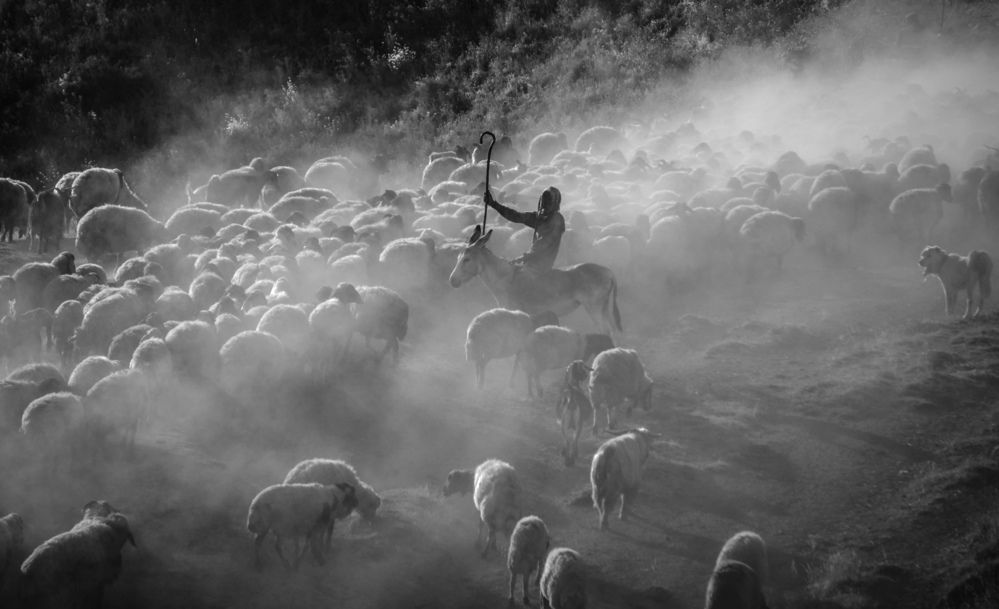 Photograph by Lutfiye filiz yolacan