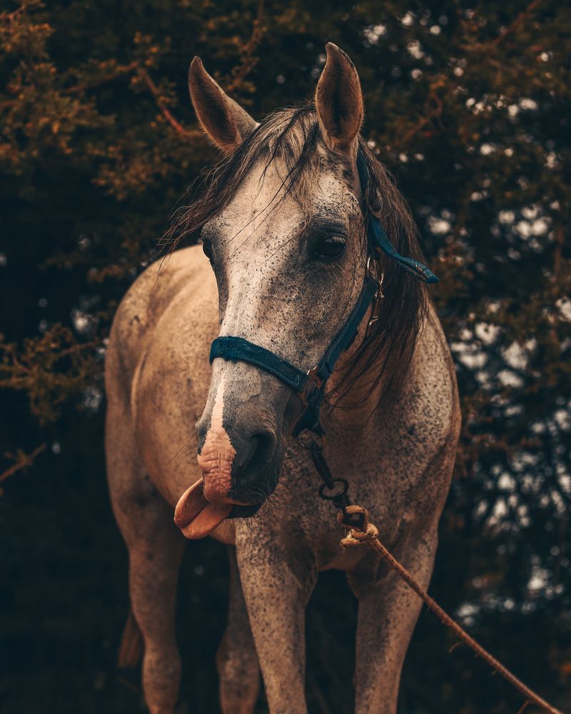 Photograph by Alexandra Sergeeva